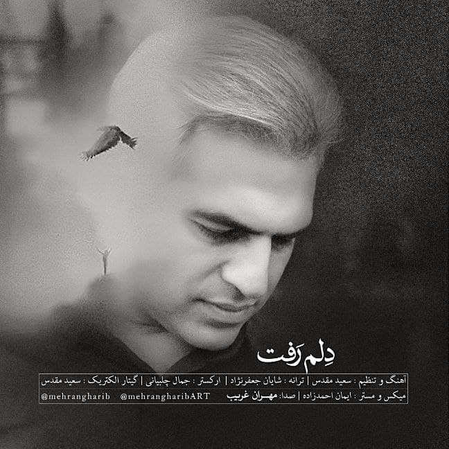 دانلود آهنگ دلم رفت